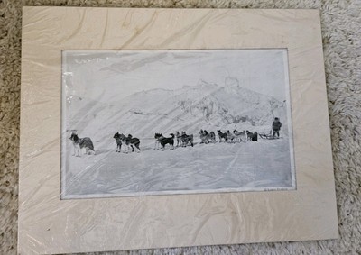 Vintage Dog Sled Team Photo - 16 Dog Hitch 