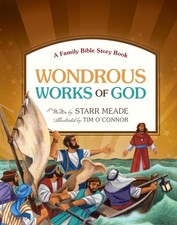 Wondrous Works of God: A Family Bible Story Book by Meade