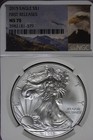 2015 NGC MS70 FIRST RELEASES AMERICAN SILVER EAGLE #B51641 — photo 1