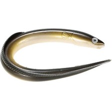 1PCS Saltwater Soft Fishing Lures Long Deep Bait Smell Soft Swimbaits Bass Trout