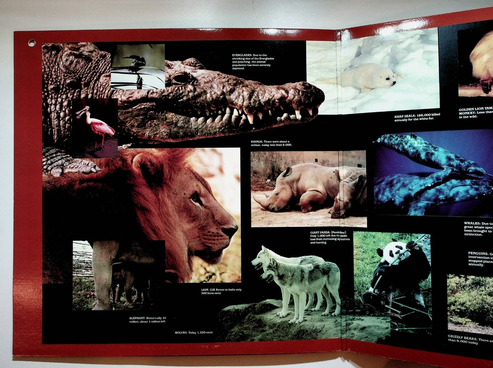 1986 Mannheim Steamroller Saving The Wildlife Vinyl LP Record Gatefold VG+ - Image 3 of 4