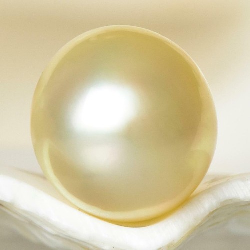 1.44 g South Sea Pearl 10.13 mm Champagne Off-Round undrilled Maluku Indonesia - Picture 4 of 7
