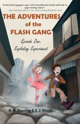 The Adventures of the Flash Gang: Episode On- SJ Waugh, 9781646033225, paperback