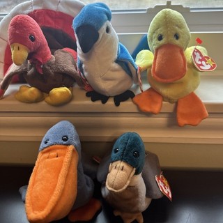 Lot of 5 BIRDS TY Beanie Babies Assorted Turkey Goose Duck Chicken w/Tags