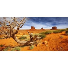 AWERT 48x18 inches Reptile Habitat Background Orange Desert Terrarium Backgro...