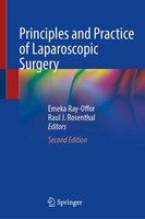 Principles And Practice Of Laparoscopic Surgery Emeka Ray-Offor