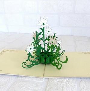Handmade White Australian Native Flannel Flower Bouquet Pop Up