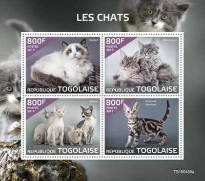 Togo 19 Cat Breeds On Stamps 4 Stamp Sheet Tga Ebay Togo 19 Cat Breeds On Stamps 4 Stamp Sheet Tga Ebay