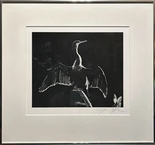 Dan Gibson - Fine Art Photography - Ahninga Ding Wildlife Sanctuary (Florida)