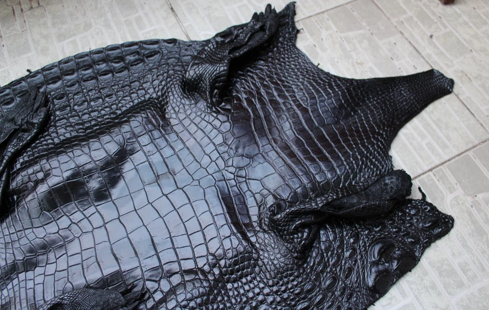 US Stock - Black Real Crocodile Leather Skin Hide Exotic Pelt Taxidermy #S21 - Image 3 of 4