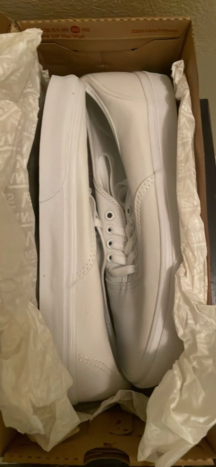 VANS Furgoni tutti bianchi