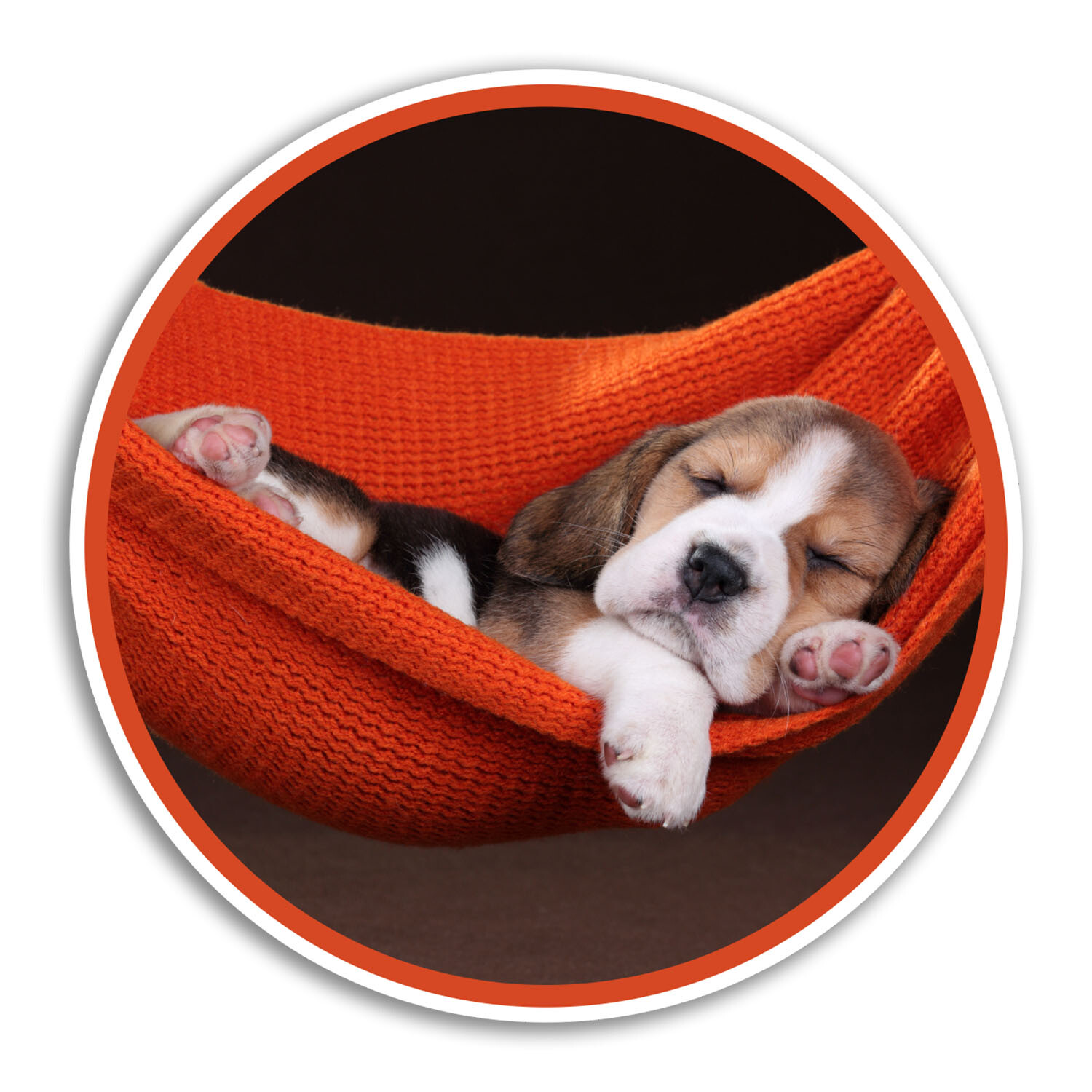 2 x 10cm Sleeping Beagle Puppy Vinyl Stickers - Dog Sticker Laptop Luggage #8432