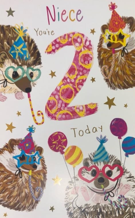 Niece Age 2 Birthday Card. Hedgehog Design. 2nd Birthday. 23x15cm
