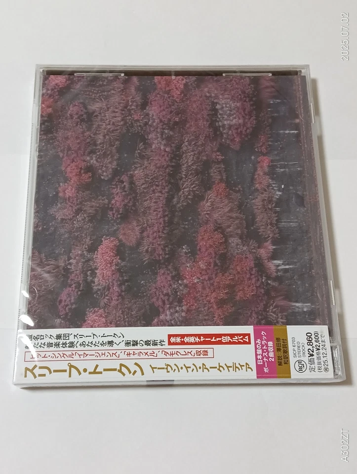 SLEEP TOKEN EVEN IN ARCADIA WITH BONUS TRACKS JAPAN CD - Bild 2 von 4