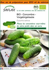 SAFLAX Jardin dans le sac - BIO - Concombre - Vorgebirgstraube - 15 graines - C