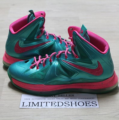 lebron 10 id