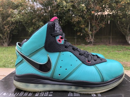 2010 lebron shoes