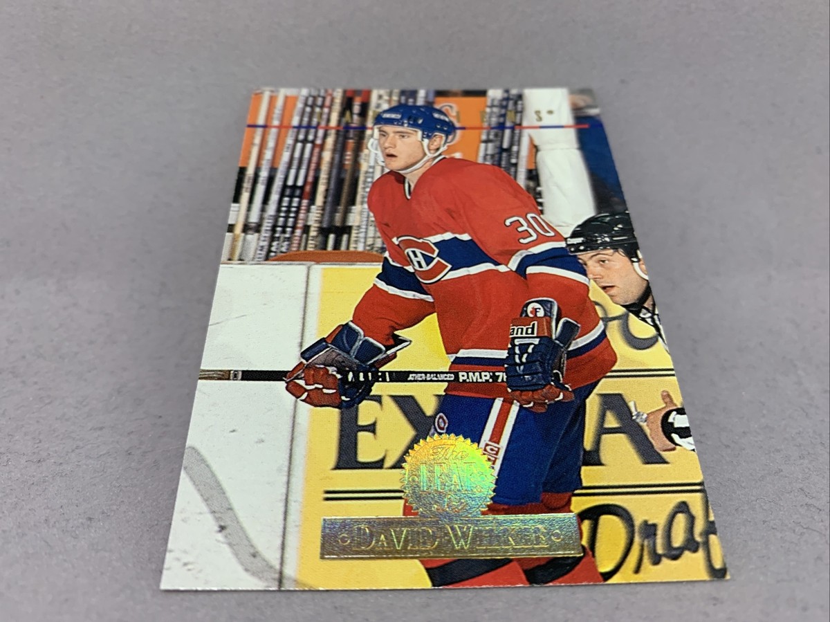 1994 Donruss The Leaf Set Hockey Card #458 David Wilkie 1994 Donruss The Leaf Set Hockey Card #458 David Wilkie