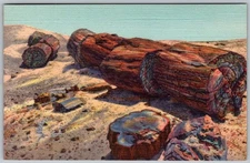Vtg Linen Postcard Rainbow Forest Giant Logs Petrified Forest, AZ 1940s