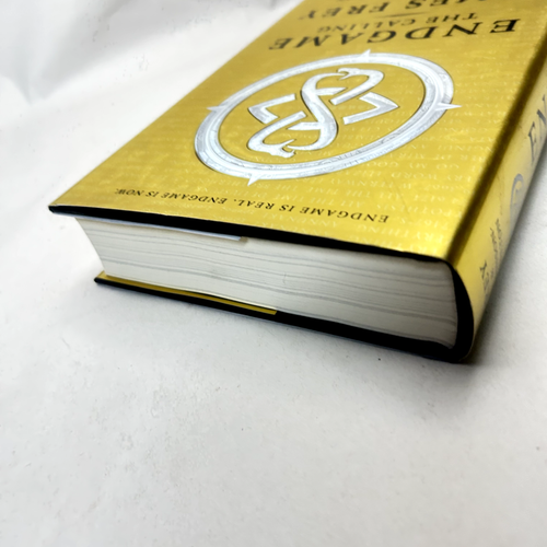 Endgame by James Frey & Nils Johnson-Shelton YA Sci-Fi Dystopian Adventure - Bild 4 von 18