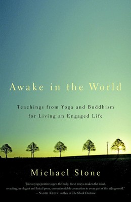 Awake in the World | Teachings from Yoga and Buddhism for Living an Engaged Life