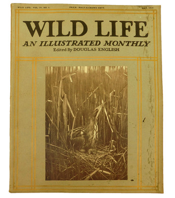 Wild Life May 1914 old animal magazine Douglas English axolotls x-ray photos