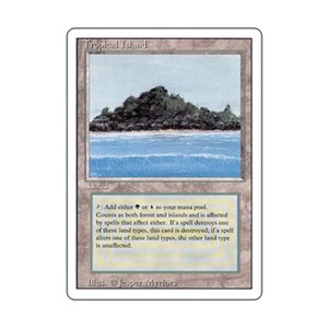 Tropical Island | eBay
