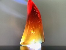 Roter Gelb Echter Bernstein Red ￼Yellow Amber￼ Bermudas Karibik￼￼