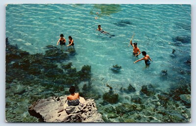 Cristalina Aguas De La Paz in La Paz Baja California Mexico c1960s Postcard