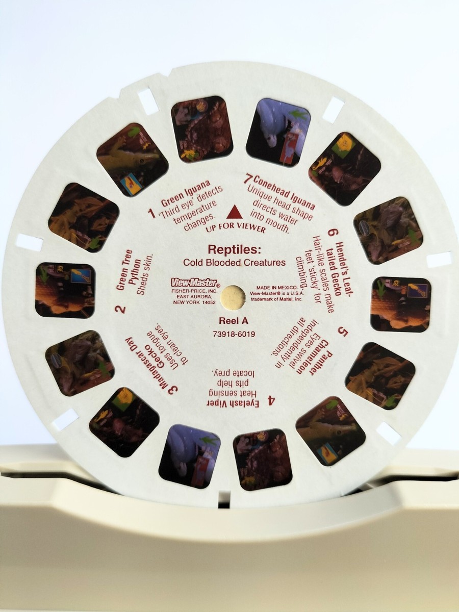 自分じゃない人 1998 REPTILES Cold Blooded Creatures Mattel VIEW-MASTER 3 reels ID