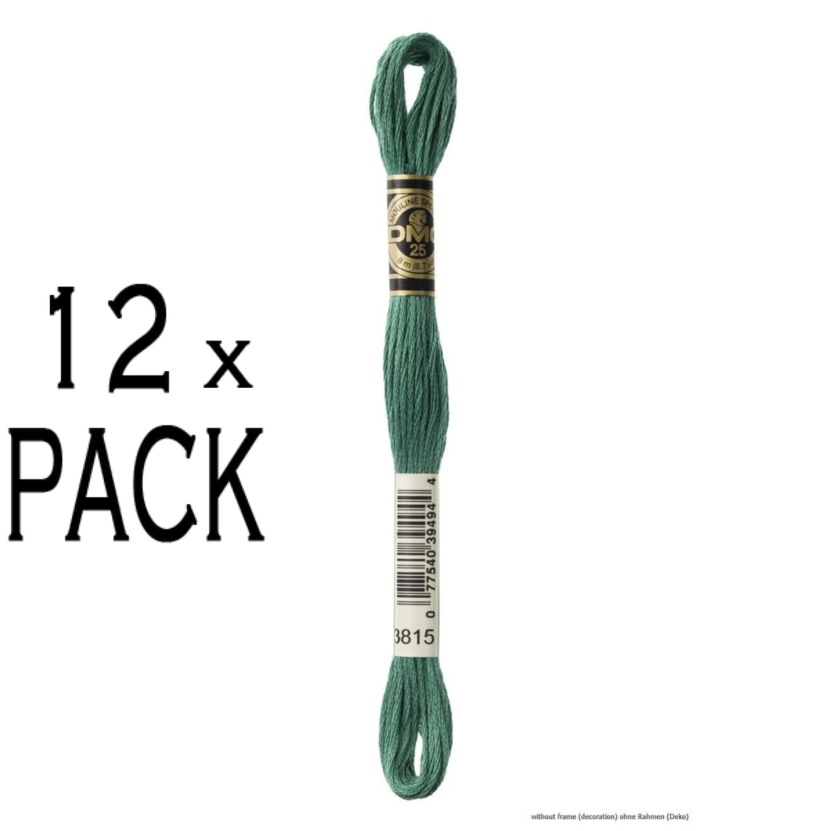12x DMC Embroidery thread Mouline Special 117MC -3815, 6 stranded, 8m