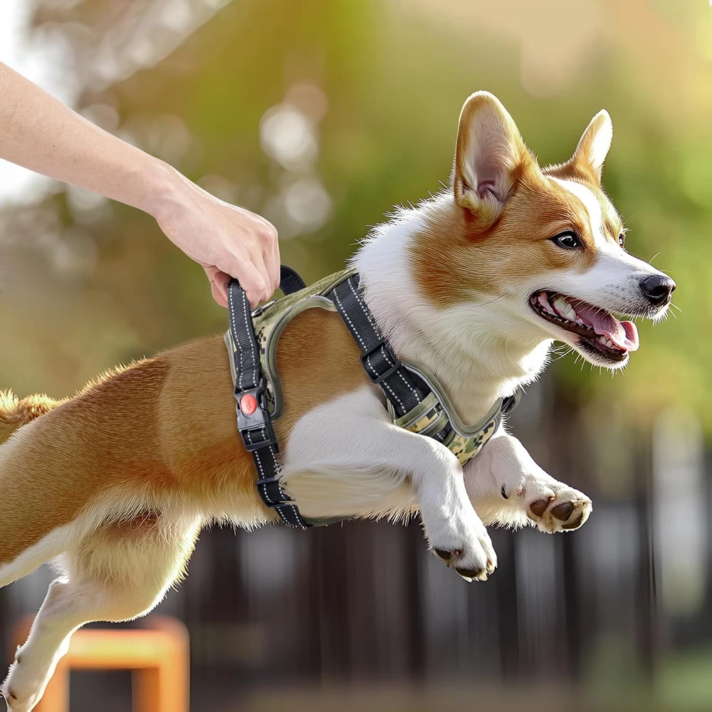 Dog Harness and Leash Set,No Pull Dog Harness,Adjustable Soft Padded Pet Vest wi
