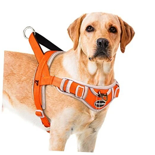 Dog Harness for Dogs No Pull, Sport Dog Halter Harness Medium Orange