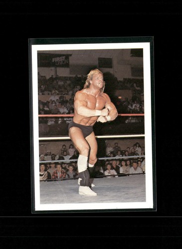 1988 Wonderama NWA Lex Luger #183 card