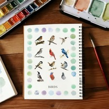 Watercolor Workbooks Coloring Book Beginner Friendly Painting Kit