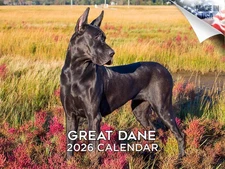 Great Dane Dog Breed Calendar 2026 12x18 Made in USA