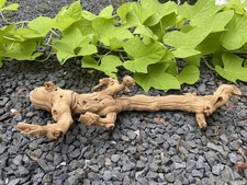 Driftwood Aquarium, Terrarium, Taxidermy, Arts, Crafts 18  Long Weathered