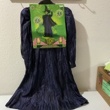 Little Girls Wicked Costume Size 4/6x Tall. Purple Dress And Witches Hat  