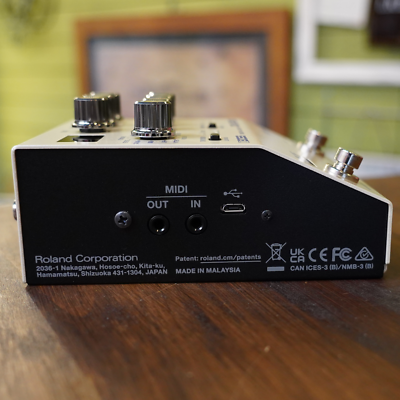 BOSS DD-200 DIGITAL DELAY 12 Delay Modes Standard Analog Tape Drum