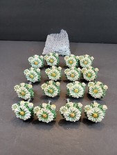 Lot of 16 White Daisy Resin Drawer Cabinet Knobs Pulls w/Screws Floral