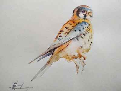 Kestrel,  Birds, Watercolor artwork, Handmade, Original painting on paper