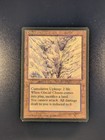 Glacial Chasm - Ice Age - LP - Magic the Gathering - MTG - 5