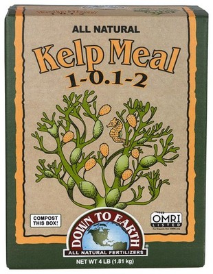 Down To Earth All Natural Fertilizers Organic Kelp Meal - Plant Food 4 lb