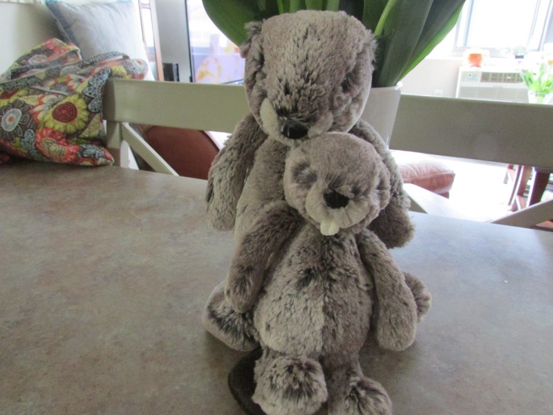 "JELLYCAT"    MOM AND BABY BASHFUL BEAVER !! PREOWNED RARE!!  PERFECTLY ADORABLE