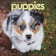 2026 Puppies Mini Wall Calendar