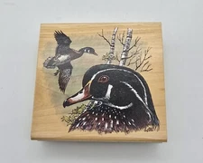 STAMPA ROSA RUBBER STAMP Ducks Wood Duck New Michaelsen 1999 California ~ Fall 
