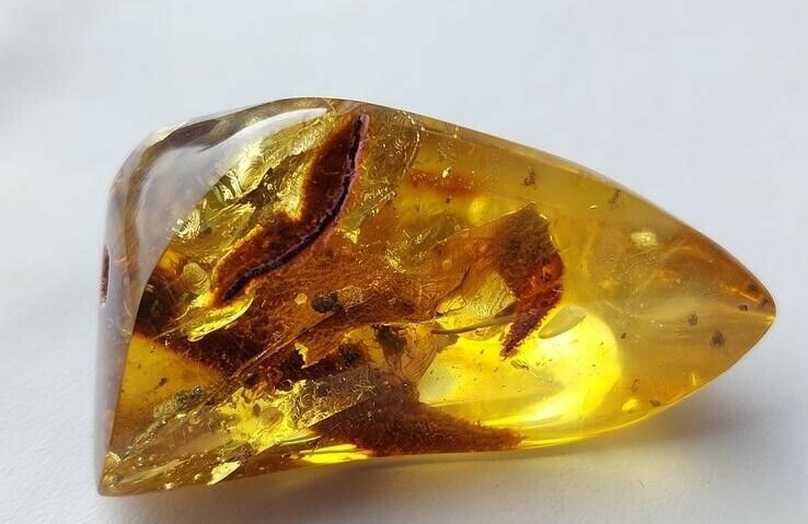 719 Natural Amber Drop With Inclusions Air Bubble Spider 