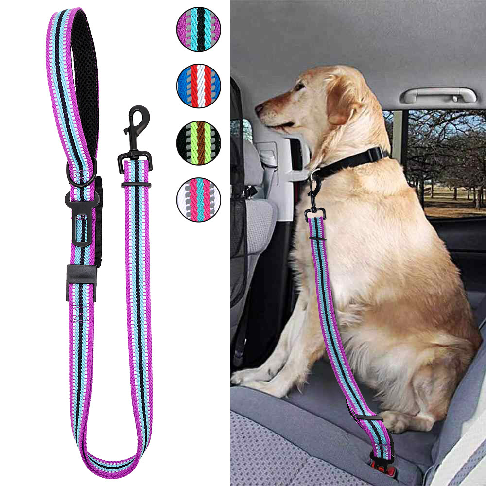 safety leash for dogs