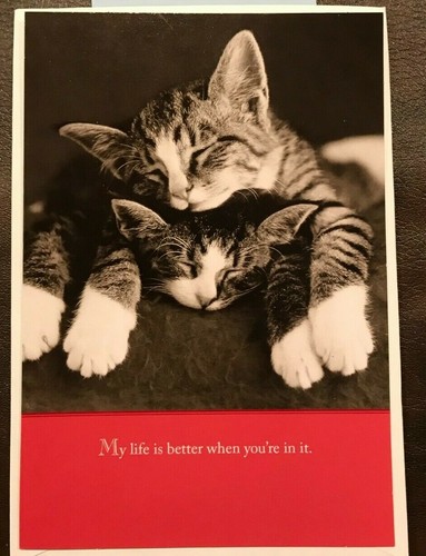 Valentine's Day Cards Sunrise By Hallmark Choose From List - Picture 11 of 77