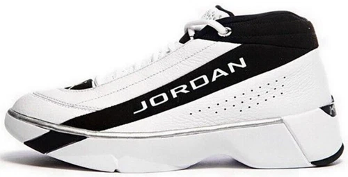Jordan Team Showcase Metallic Silver